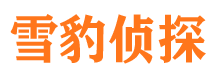 上虞捉小三公司